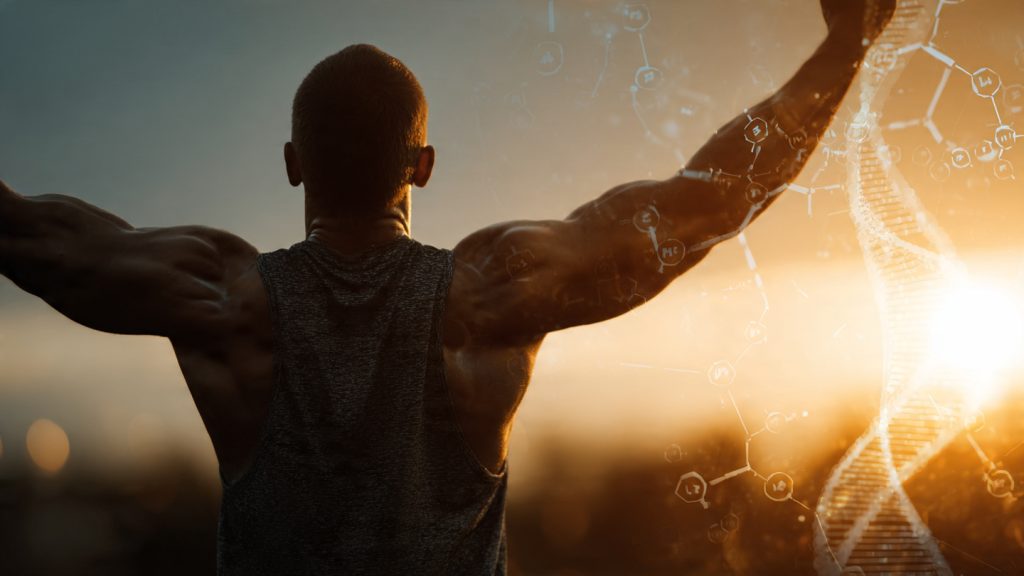 once-daily supplement